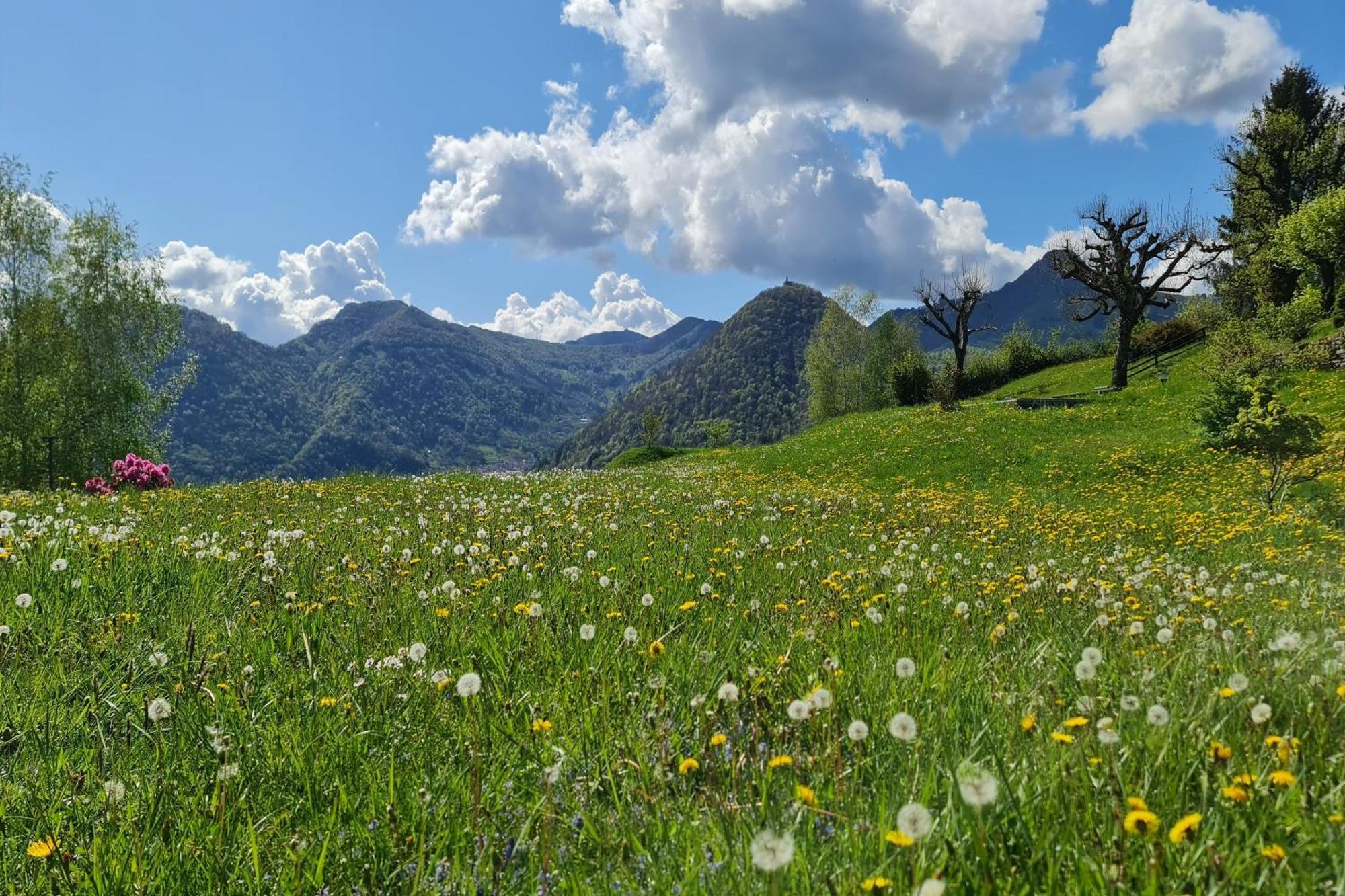 Villa La Betulla Casasco Intelvi Exteriér fotografie